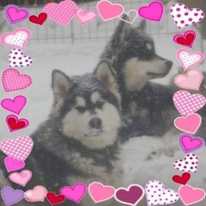 Meet your Posher, Kelli